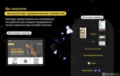 Франшиза VanBlack: Онлайн-магазин обуви