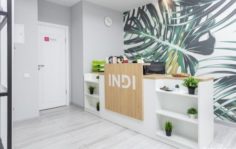 Франшиза INDI: Сеть бьюти-коворкингов