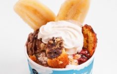 Франшиза IceBox: Натуральное мороженое