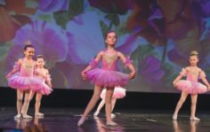 Франшиза Балет с 2 лет: Международная сеть балетных школ