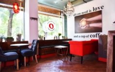 Франшиза Red Mango: Вкусные и низкокалорийные йогурты из естественных ингредиентов