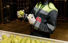 Контроль качества продуктов Пятёрочка