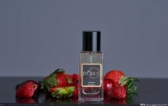 Франшиза Gamma D’ORO