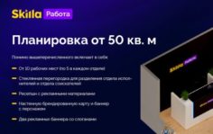 Франшиза Skilla Работа: IT-площадка, соединяющая заказчиков и исполнителей
