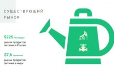 Франшиза АГРО24: Информационно-технологическая компания на рынке продуктов питания