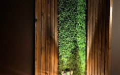 Франшиза Алтайская здравница: Первый Таёжный SPA в России
