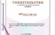 Франшиза Torens: Франшиза магазина двигателей