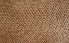 Франшиза Fish Skin Leather: Производство рыбьих кож