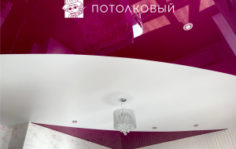 Франшиза Потолковый