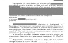 Франшиза Единый Центр Защиты: Юридическая компания по защите прав должников