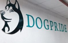 Франшиза DogPride: Кинологический тренинговый центр