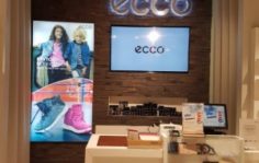 Франшиза ECCO: Скандинавский бренд обуви и аксессуаров