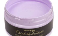 Франшиза ThermoColor: Производство красок, защитных покрытий и антисептиков