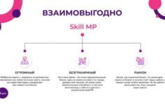 Франшиза SkillMP: Бизнес на Wildberries и других маркетплейсах