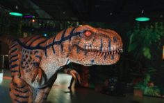 Франшиза Остров Discovery: Премиальное игровое квест-шоу