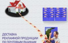 Франшиза ДАЙМЭКС: Курьерские услуги и логистика