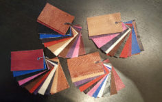 Франшиза Fish Skin Leather: Производство рыбьих кож