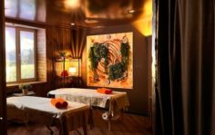 Франшиза Алтайская здравница: Первый Таёжный SPA в России