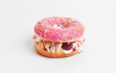Франшиза IceBox: Натуральное мороженое
