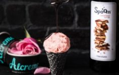 Франшиза Alcreme: Алкогольное и крафтовое мороженое