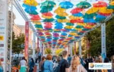 Франшиза MEDOR: Полный спектр рекламных услуг