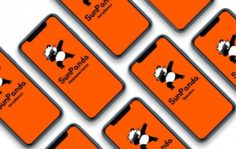 Франшиза SunPanda: Сеть сервисов доставки еды