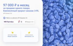Франшиза SkillMP: Бизнес на Wildberries и других маркетплейсах