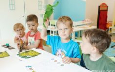 Франшиза Synergy Kids: Билингвальный детский сад