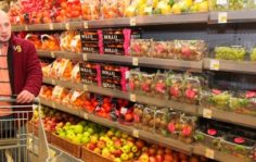 Франшиза iGooods: Сервис доставки продуктов из гипермаркетов