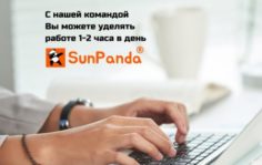 Франшиза SunPanda: Сеть сервисов доставки еды