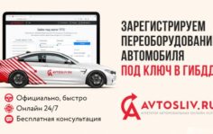 Франшиза AVTOSLIV.RU: Онлайн-бизнес автострахования ОСАГО и автоуслуг
