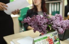 Франшиза СДЭК: Курьерские услуги и логистика