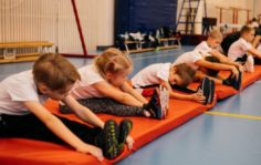 Франшиза GYMCHEL: Федерация Гимнастики
