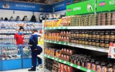 Франшиза Бетховен: Зоомагазин