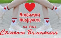 Франшиза SOCKS SHOP: Вендинговые аппараты по продаже трендовых носков