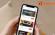 Франшиза SunPanda: Сеть сервисов доставки еды