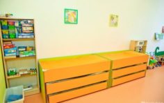 Франшиза Baby Jungle