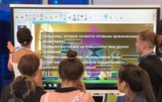 Франшиза Capital School Center: Сеть языковых школ