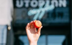 Франшиза Utopian Coffee: Сеть кофеен