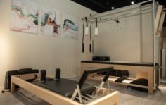 Франшиза ART OF PILATES: Студия пилатеса