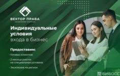 Франшиза Вектор Права: Юридическая компания по банкротству физических лиц