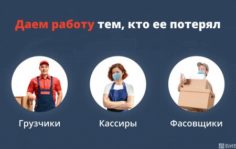 Трудоустройство