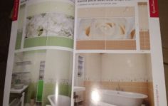 Франшиза Plastroom: Ремонт санузлов и ванных комнат