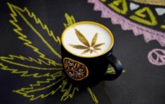 Франшиза Tucano Coffee: Кофейня, как креативное пространство