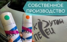 обучение и поддержка франчайзи