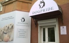 Франшиза DogPride: Кинологический тренинговый центр