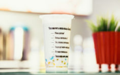 Франшиза Bubble Store: Сеть кафе-баров азиатских напитков Bubble tea