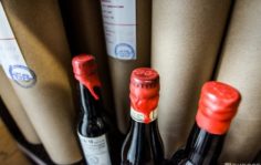 Франшиза БЕРУ ВЫХОДНОЙ: Сеть магазинов разливного и фасованного пива
