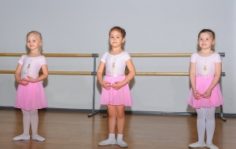 Франшиза Classic: Сеть детских балетных школ
