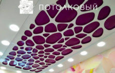 Франшиза Потолковый